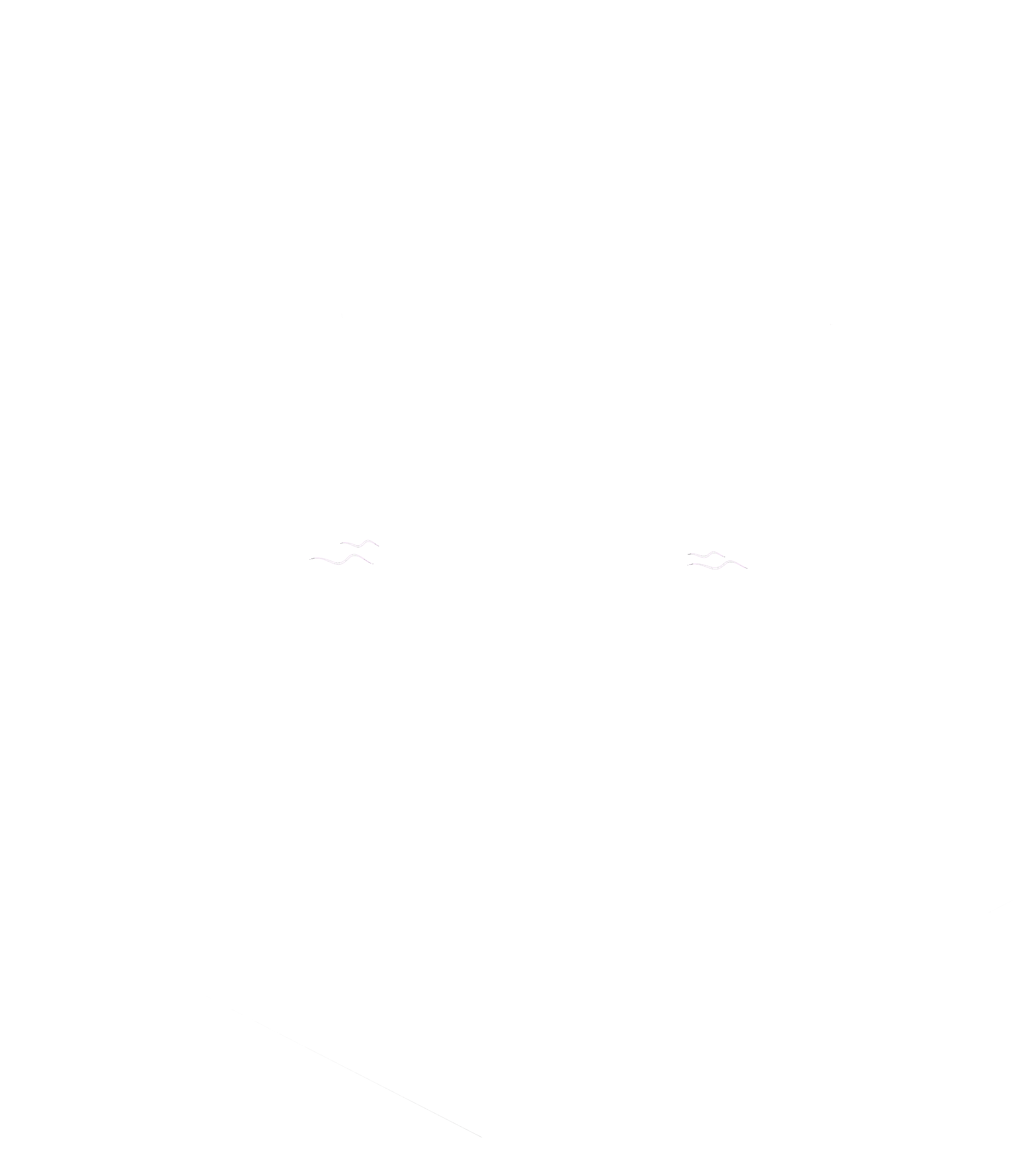 BDMF Logo